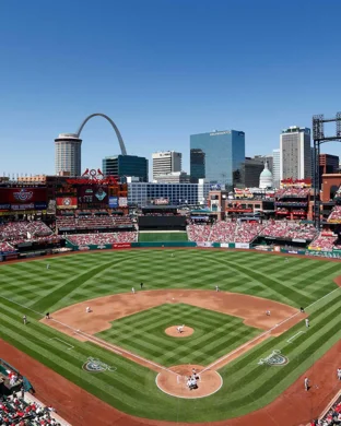 South Carolina Gamecocks vs. Kentucky Wildcats