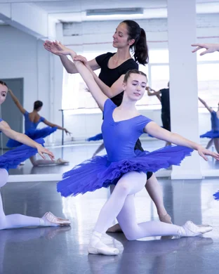 Swan Lake: Symphony of Lights